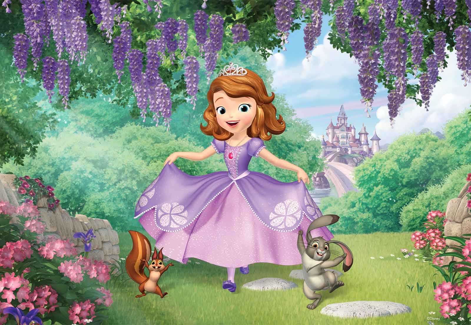 Detail Background Sofia The First Nomer 9
