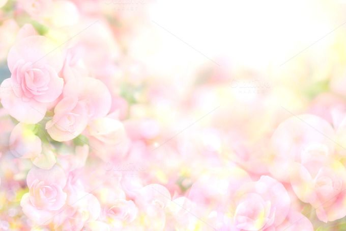 Background Soft Flower - KibrisPDR