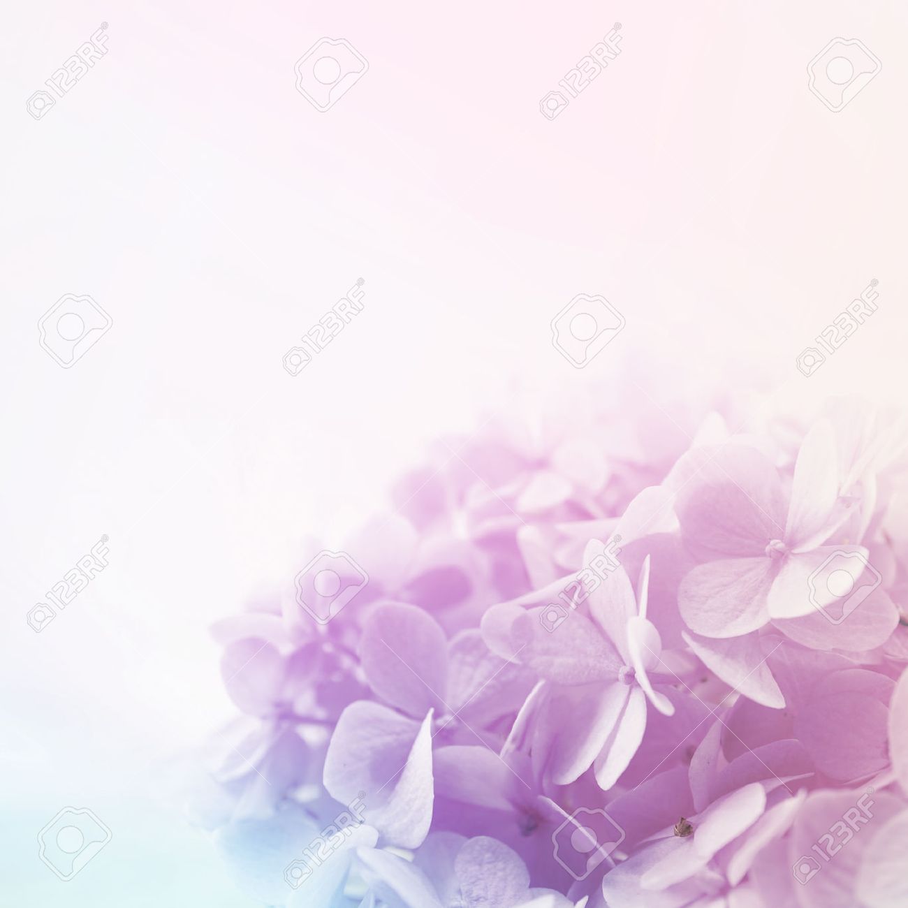 Detail Background Soft Flower Nomer 21