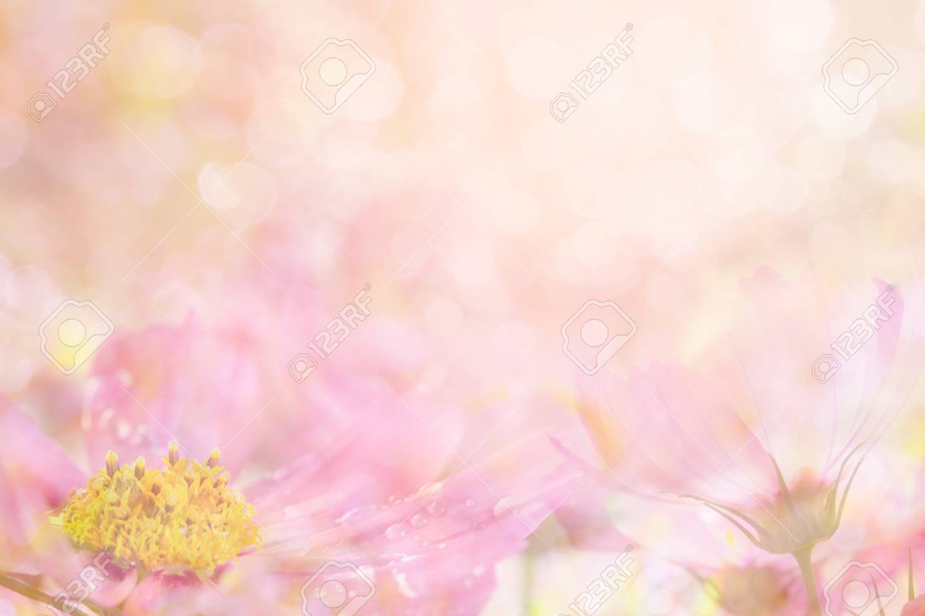 Detail Background Soft Flower Nomer 23