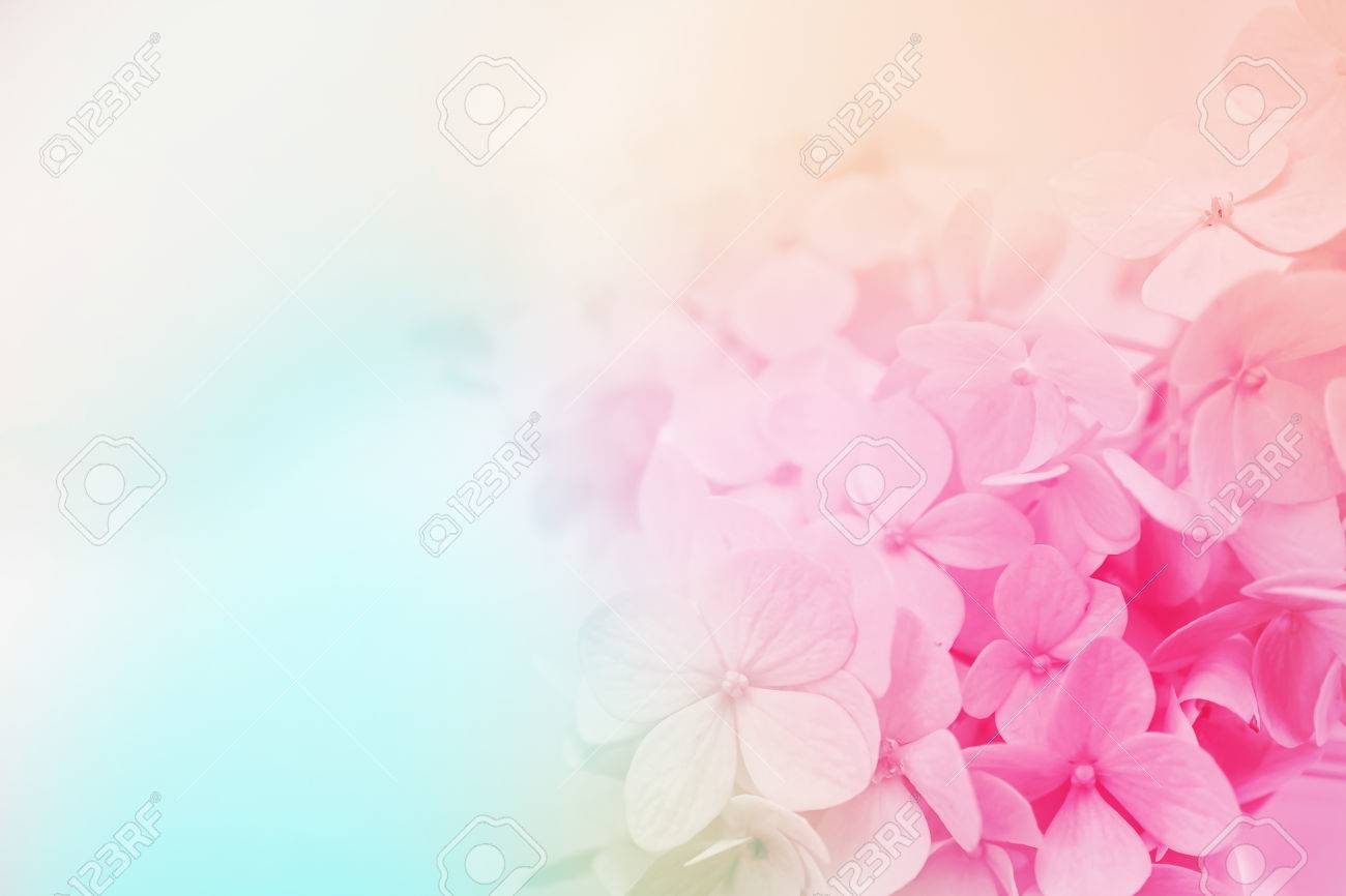 Detail Background Soft Flower Nomer 26