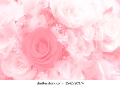 Detail Background Soft Flower Nomer 4