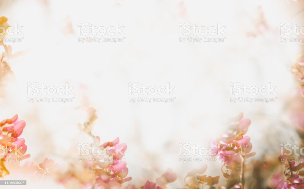 Detail Background Soft Flower Nomer 47