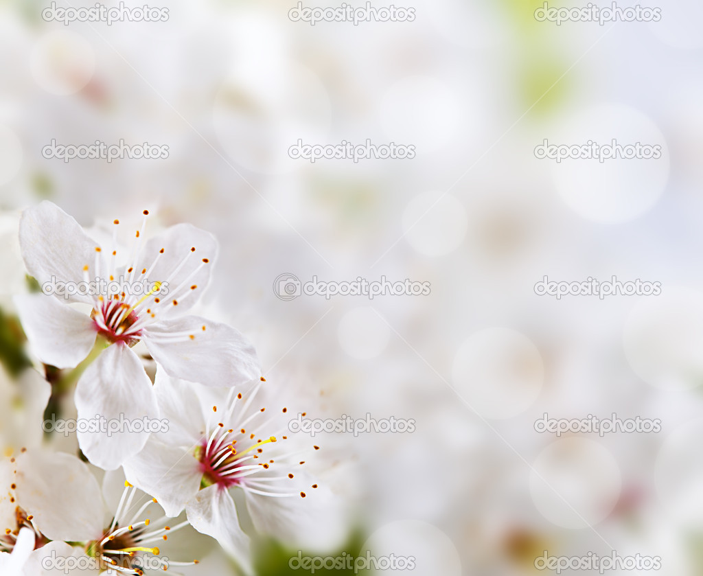 Detail Background Soft Flower Nomer 48