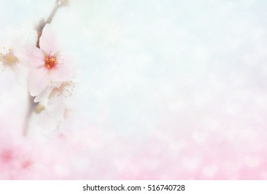 Detail Background Soft Flower Nomer 49