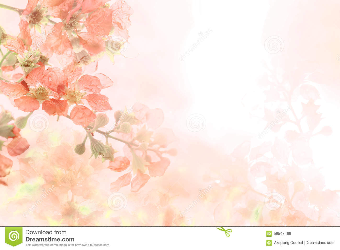 Detail Background Soft Flower Nomer 53