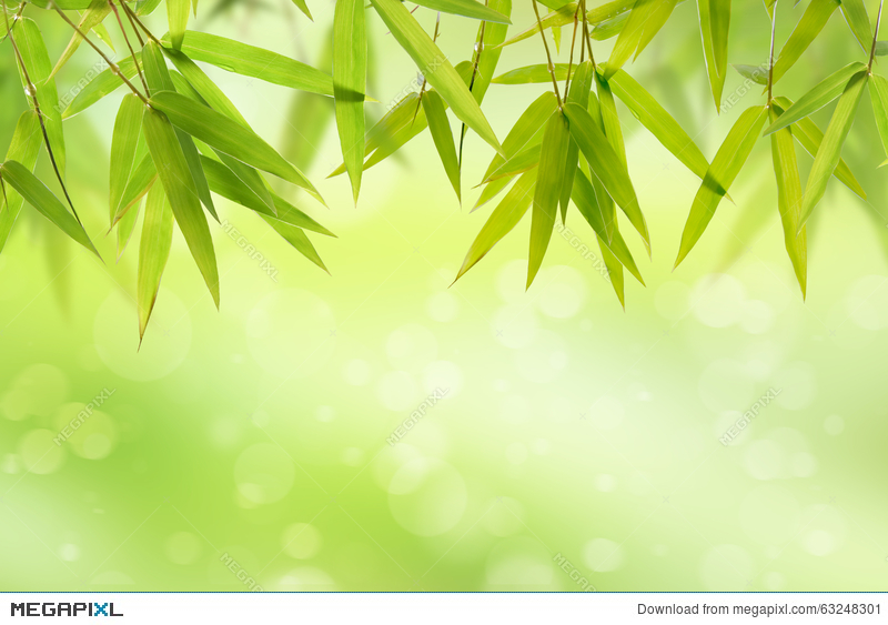 Detail Background Soft Green Nomer 44