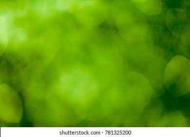 Detail Background Soft Hijau Nomer 37
