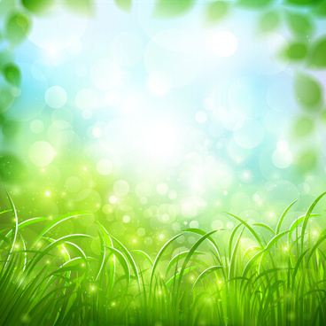 Detail Background Soft Hijau Nomer 42