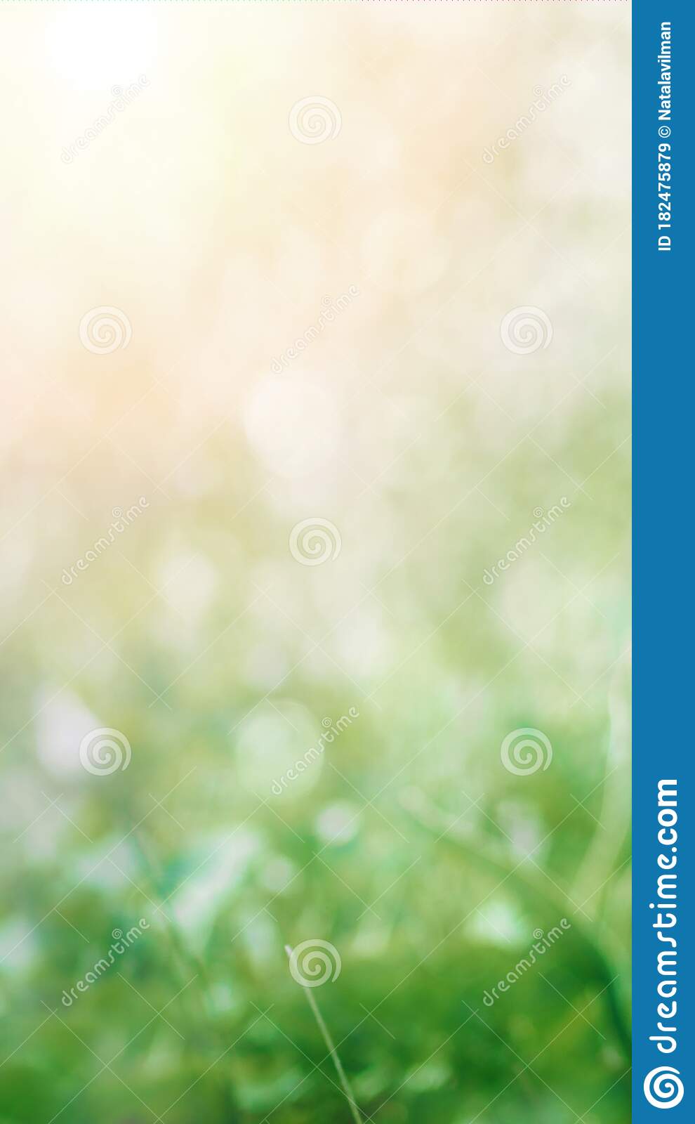 Detail Background Soft Hijau Nomer 43