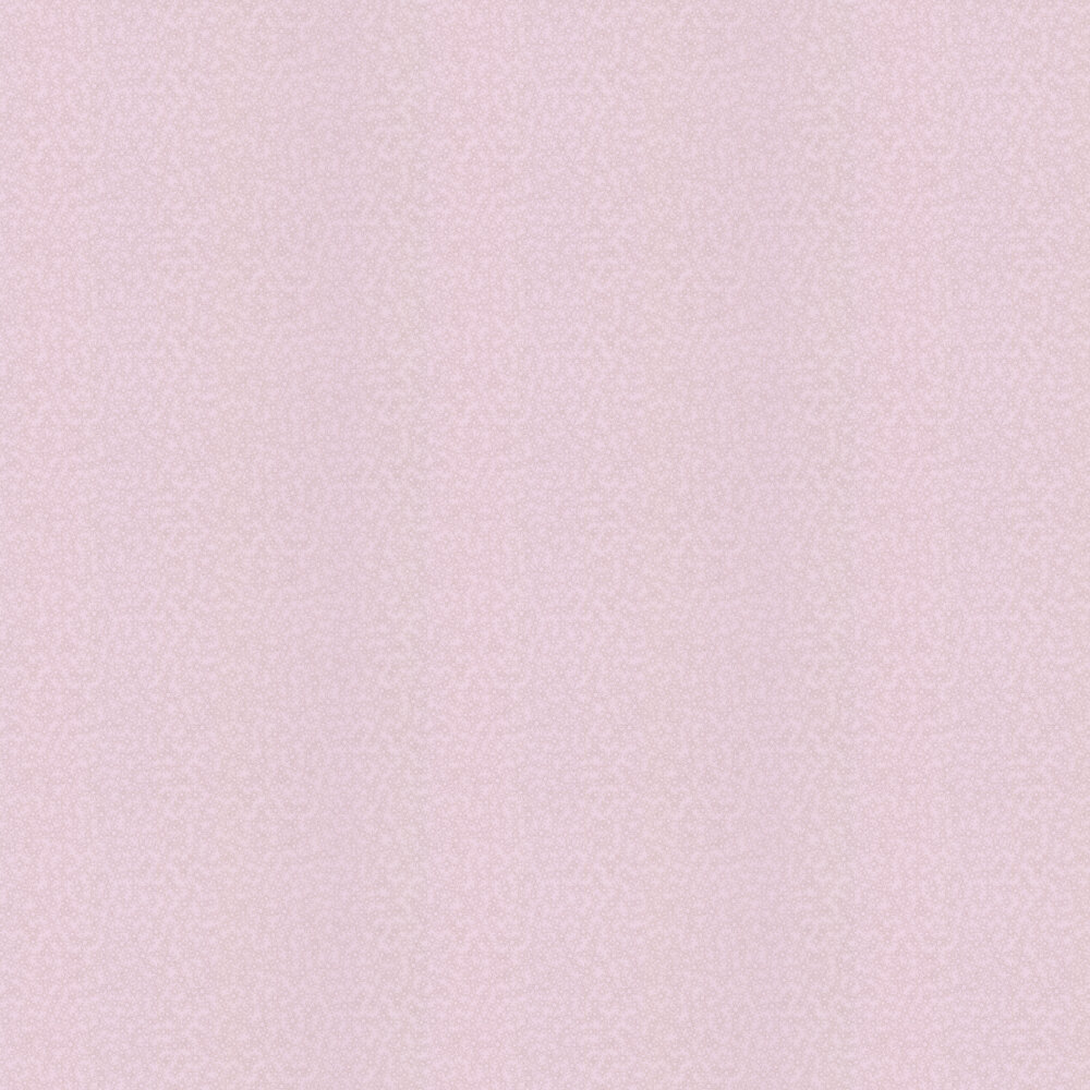 Detail Background Soft Pink Nomer 21