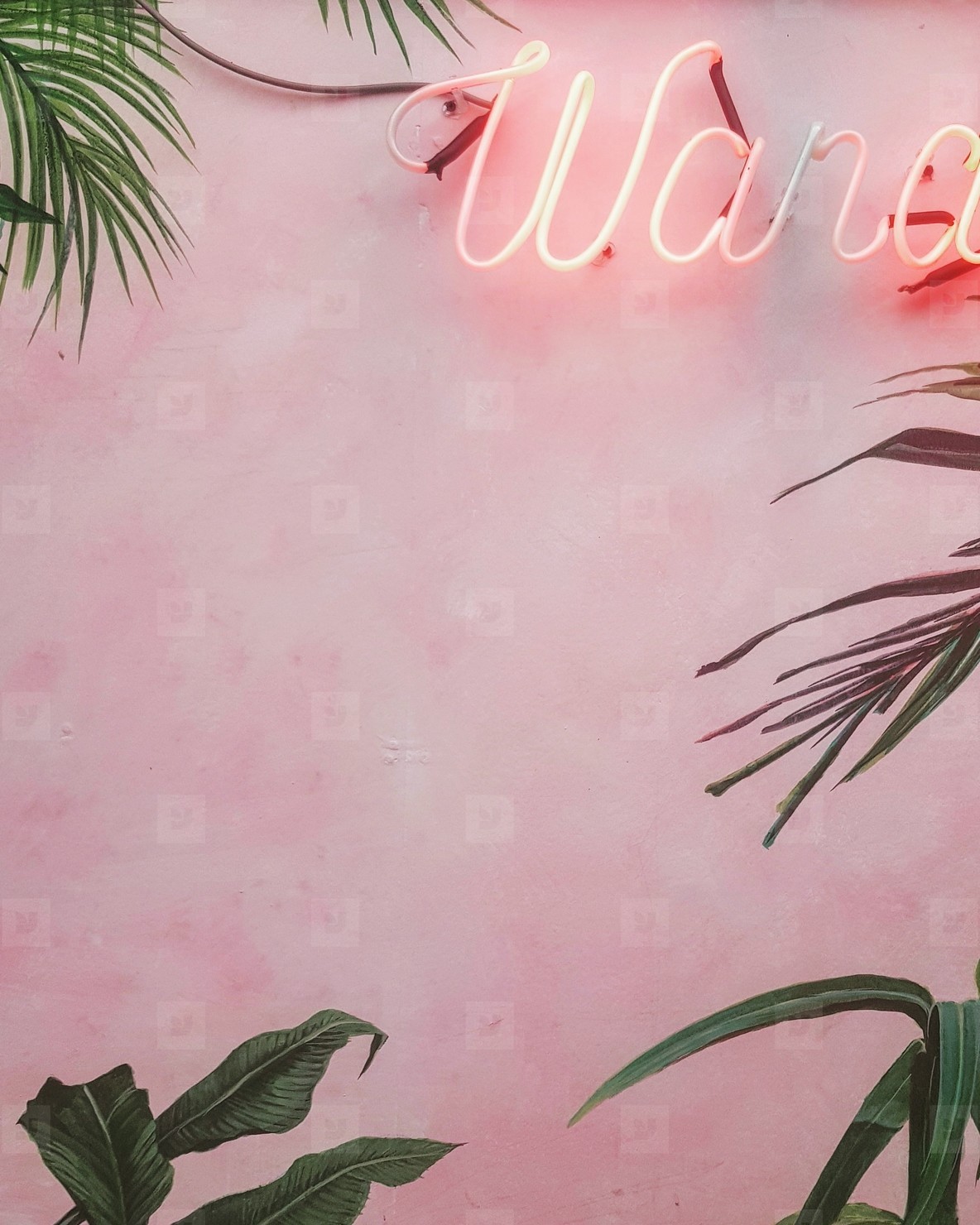 Detail Background Soft Pink Nomer 23