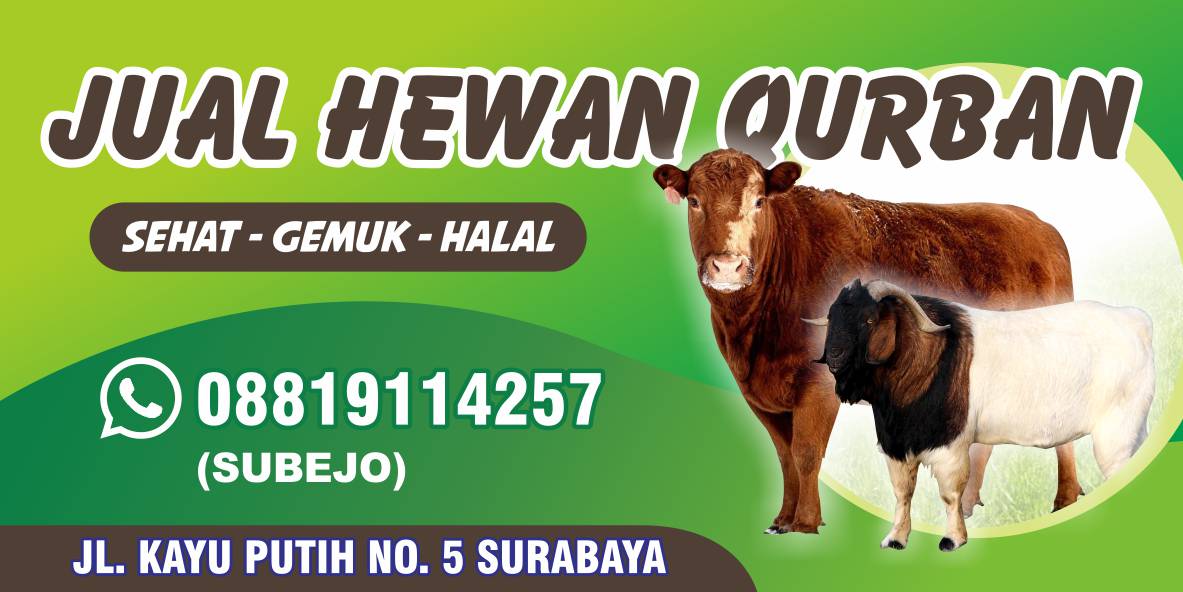 Detail Background Spanduk Qurban Nomer 49