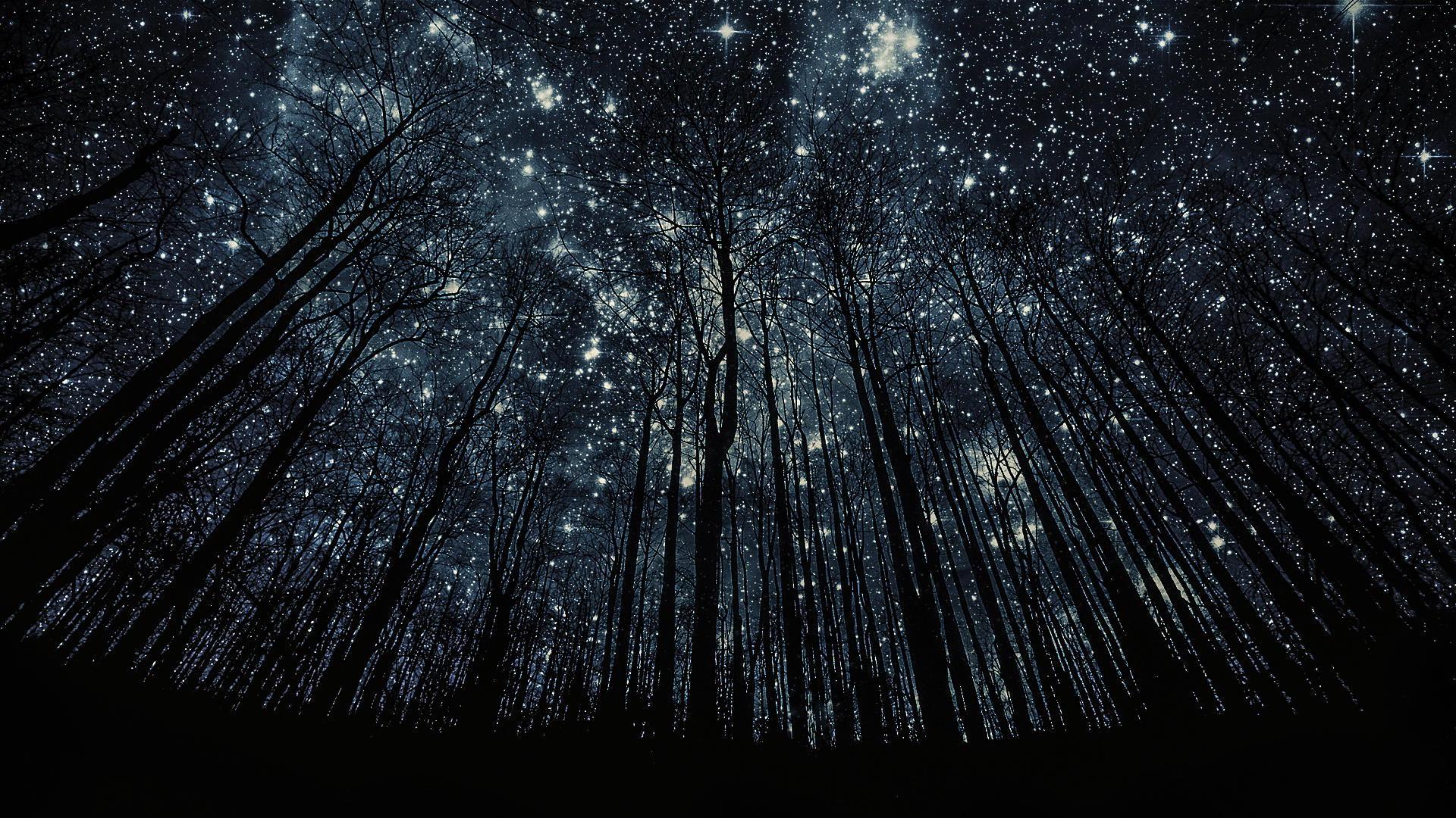 Detail Background Star Hd Nomer 42