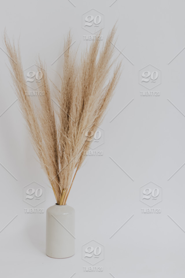 Detail Background Studio Aesthetic Nomer 56