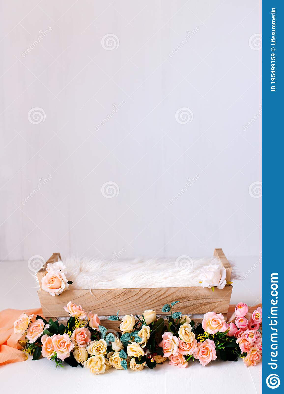 Detail Background Studio Anak Nomer 15