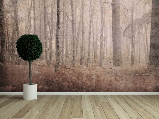 Detail Background Studio Keluarga Nomer 42