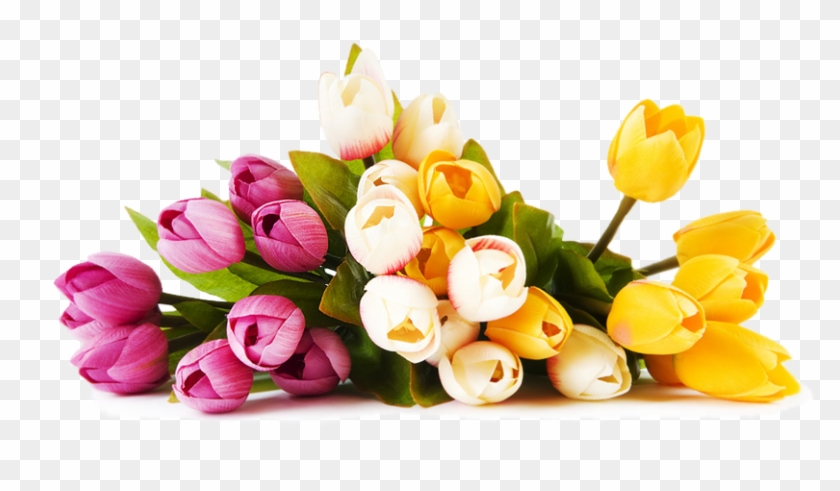 Detail Background Studio Png Nomer 55