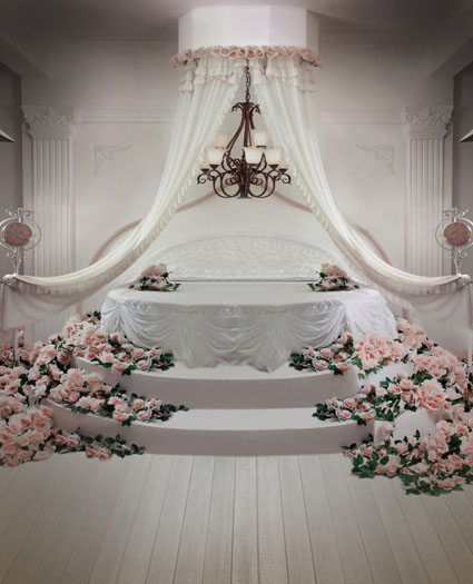 Detail Background Studio Wedding Nomer 43