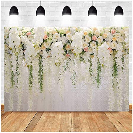 Detail Background Studio Wedding Nomer 9
