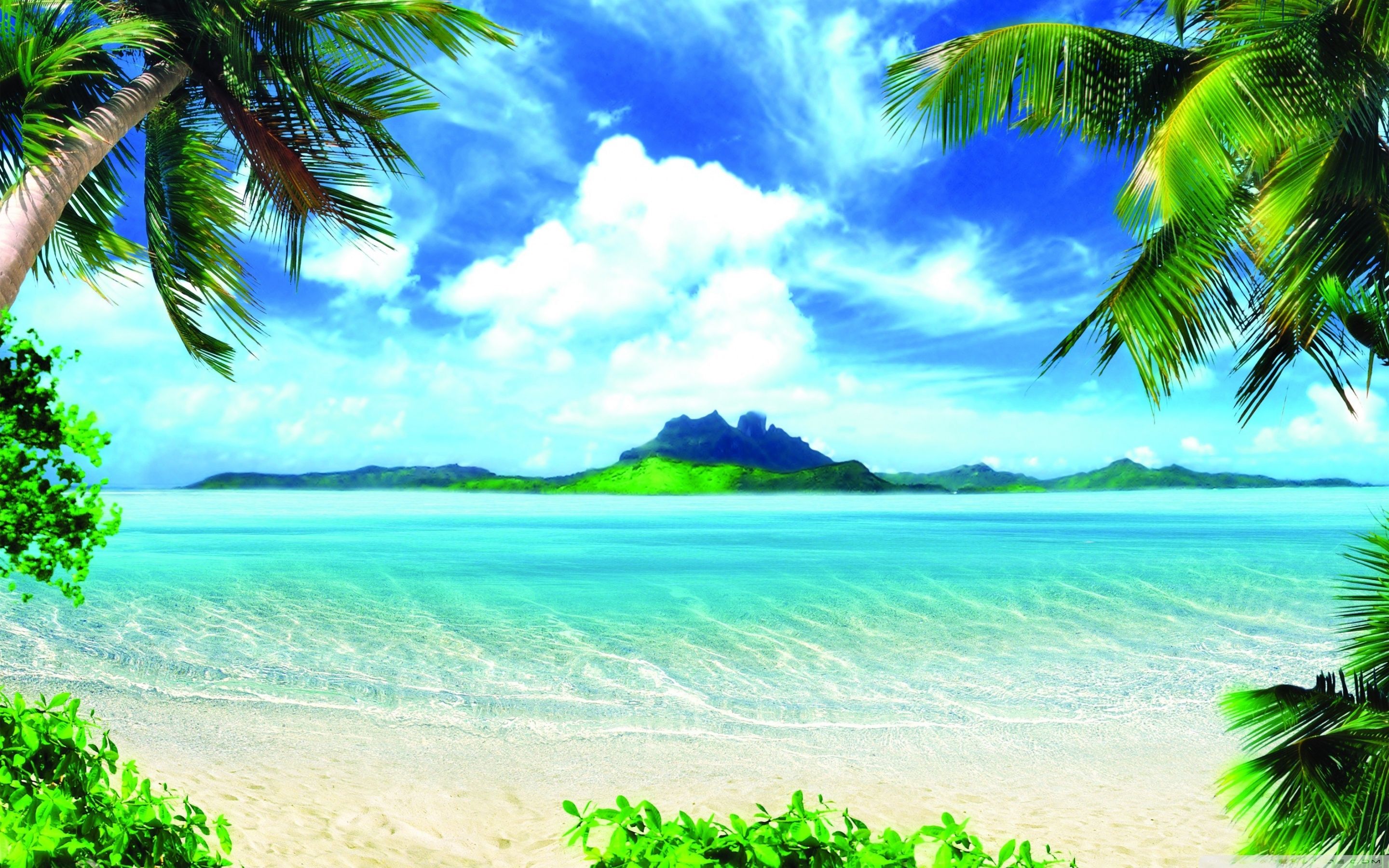 Background Summer Hd - KibrisPDR