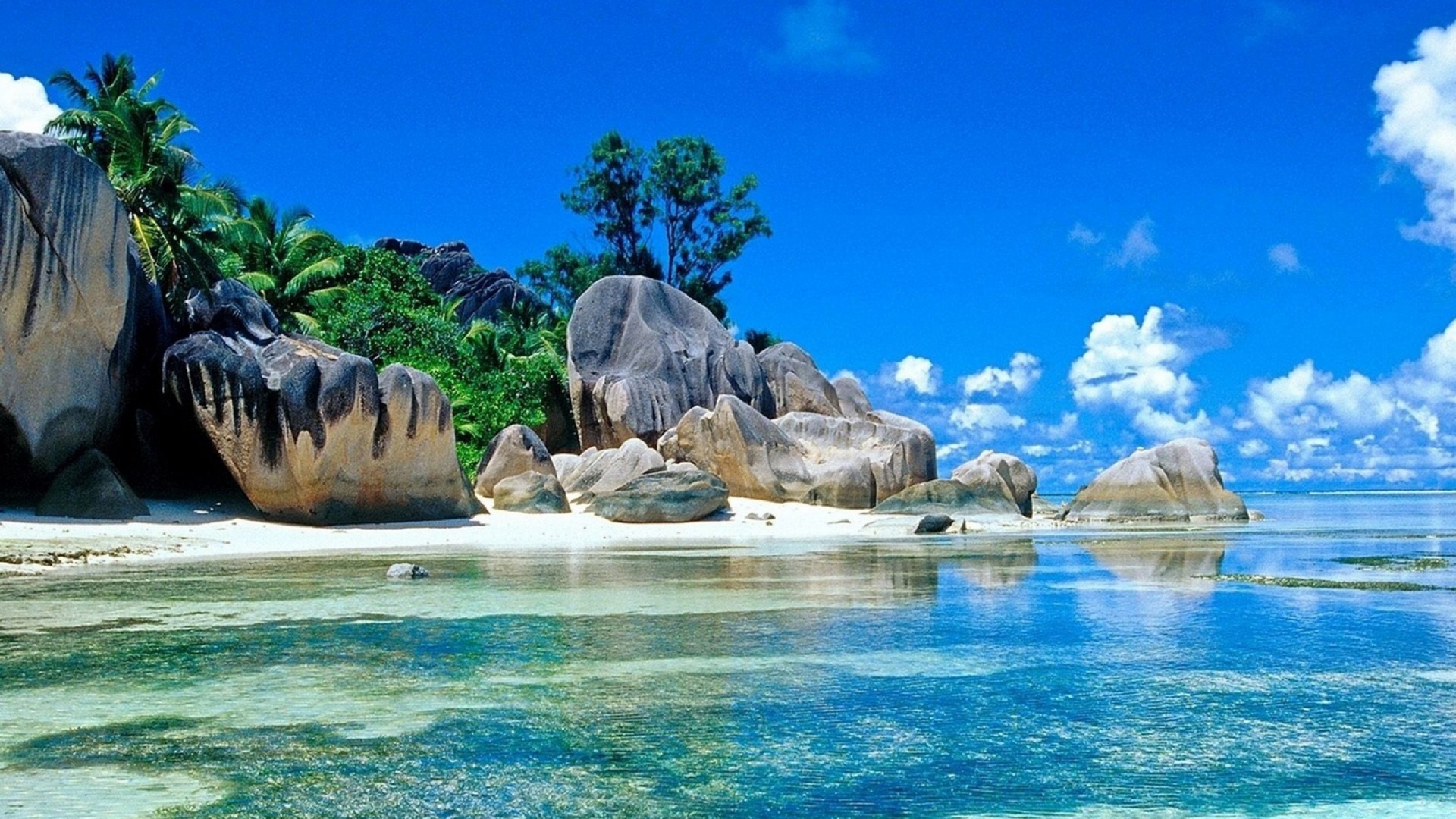 Detail Background Summer Hd Nomer 2