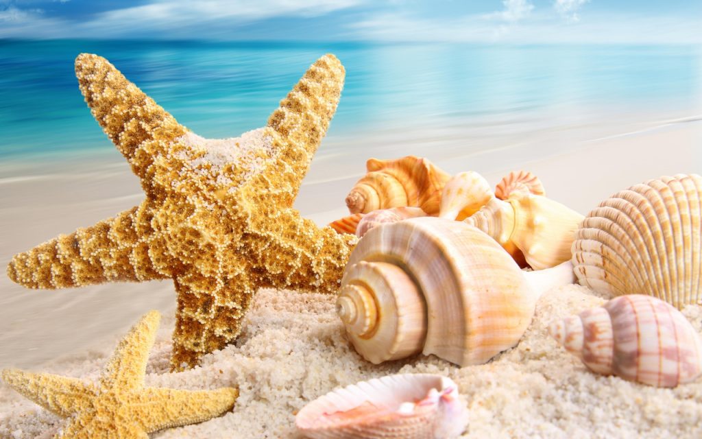 Detail Background Summer Hd Nomer 15