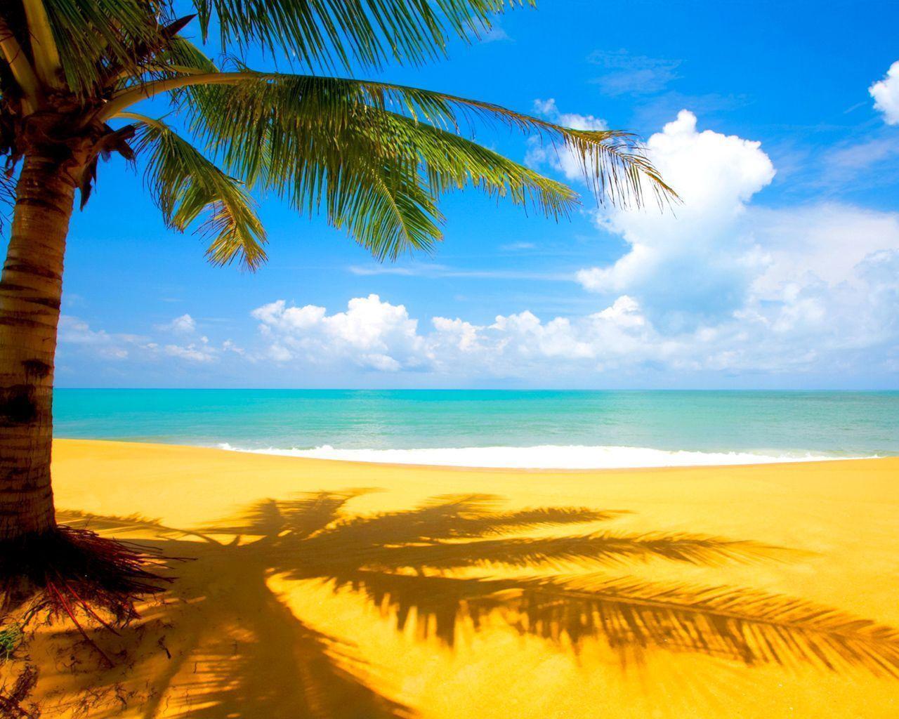 Detail Background Summer Hd Nomer 31