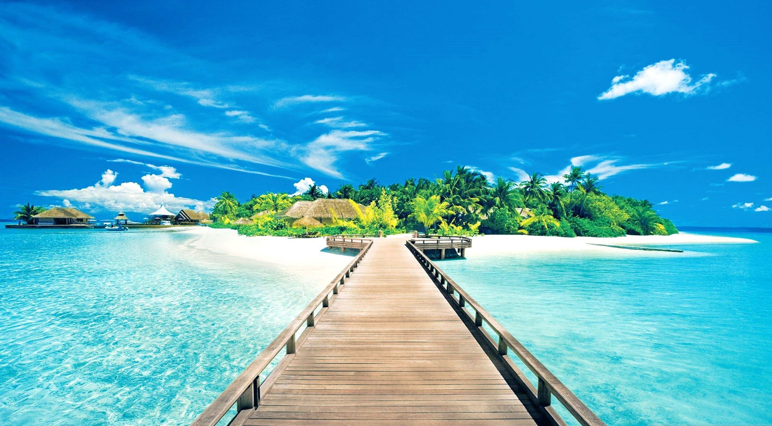 Detail Background Summer Hd Nomer 5