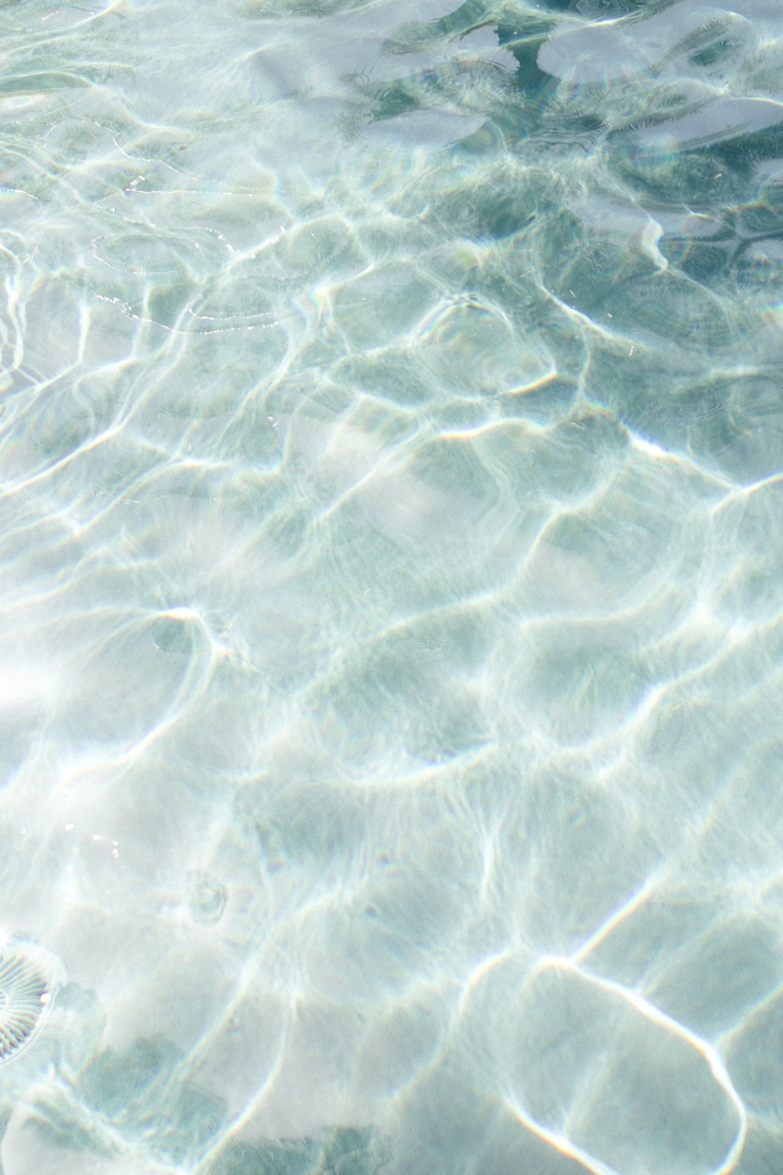 Detail Background Summer Hd Nomer 38