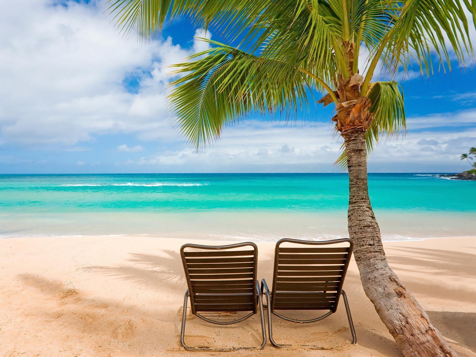 Detail Background Summer Hd Nomer 43