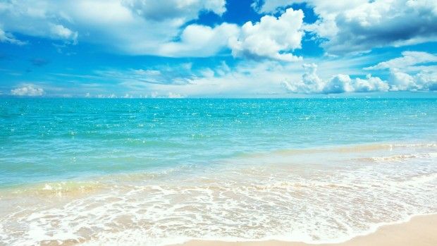 Detail Background Summer Hd Nomer 6