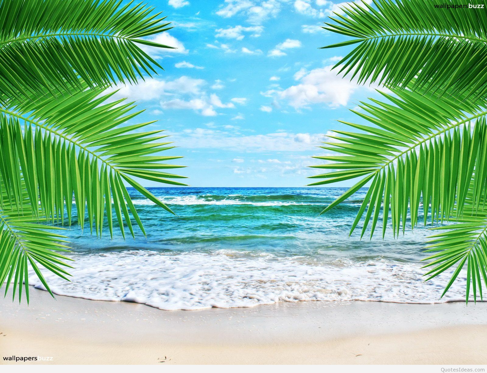 Detail Background Summer Hd Nomer 7