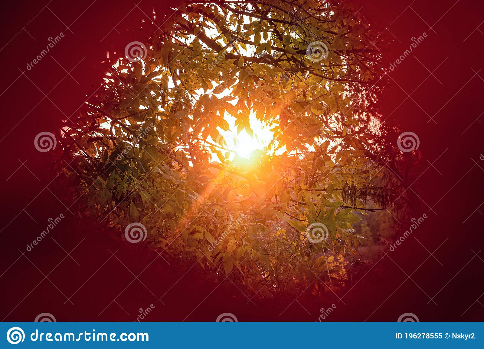 Detail Background Sunat Nomer 31