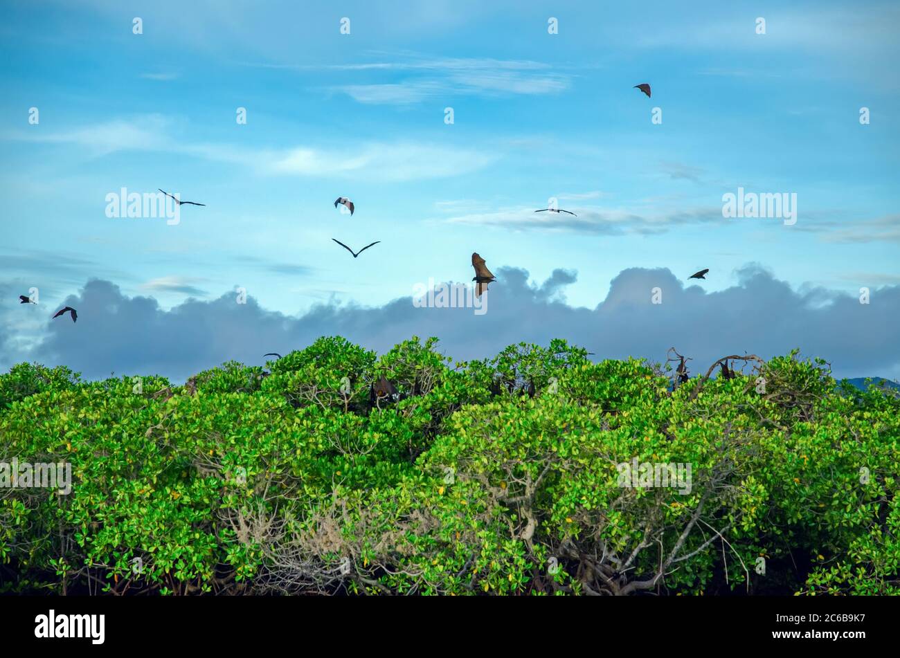 Detail Background Sunda Nomer 21