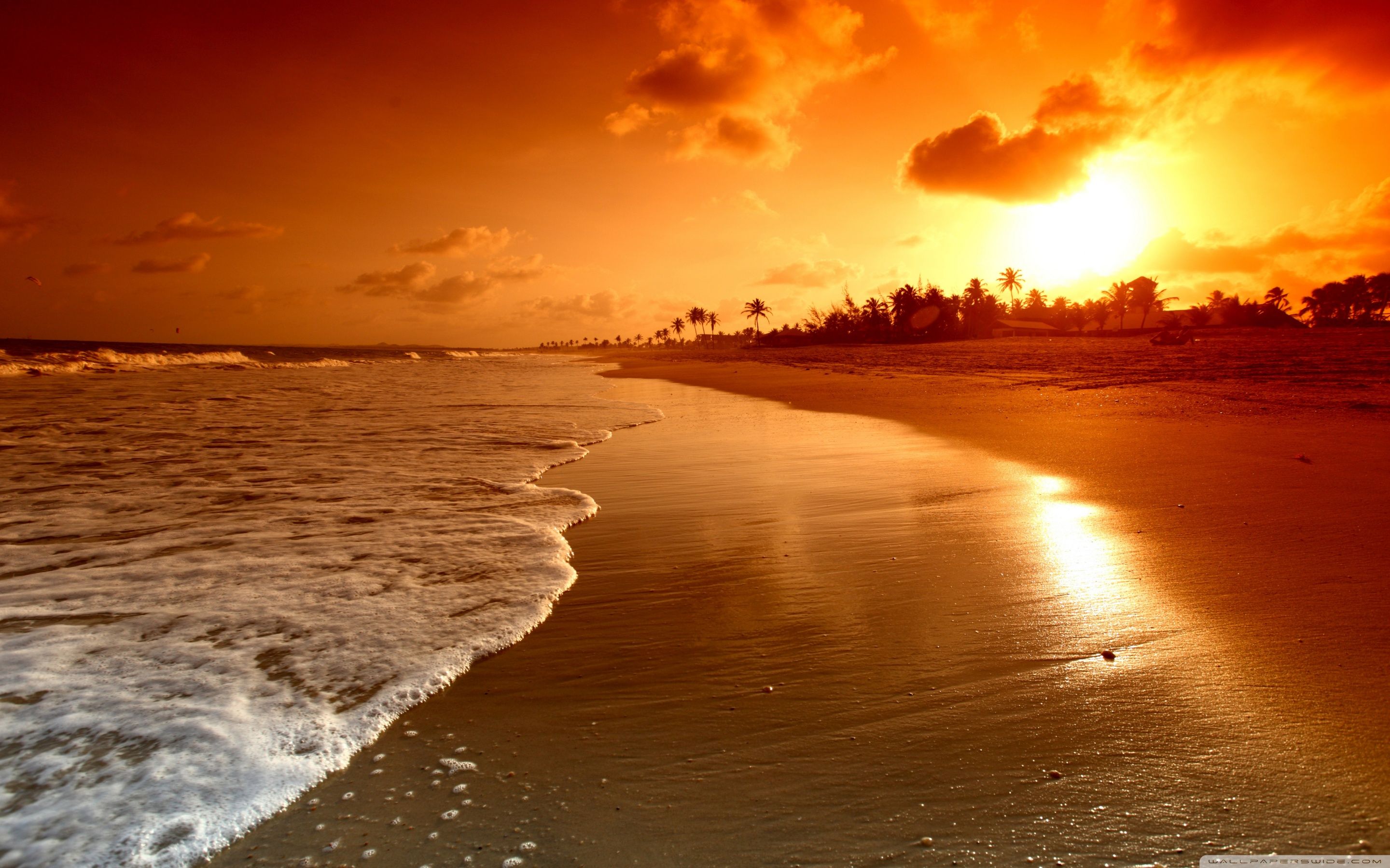 Detail Background Sunrise Nomer 35