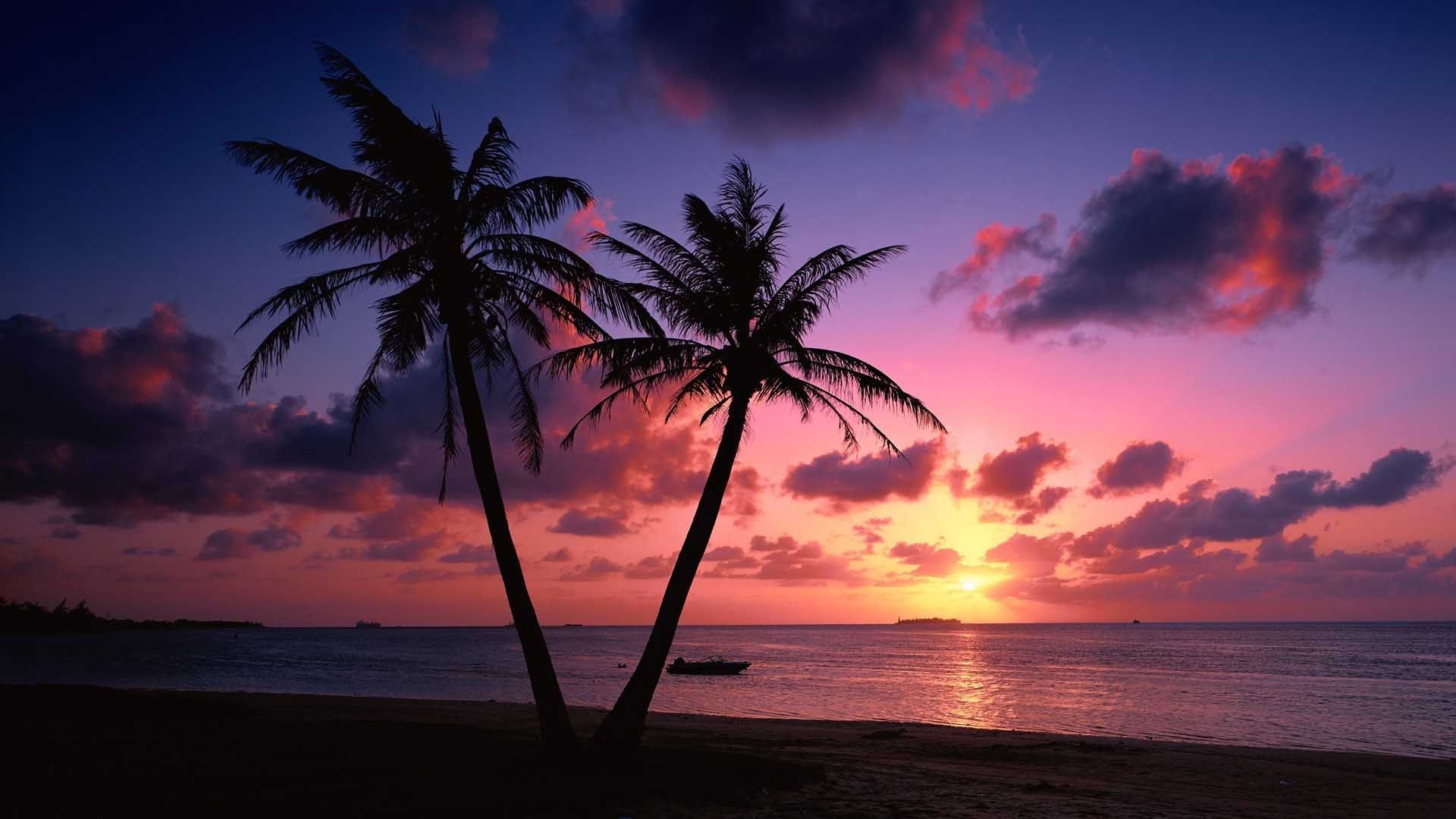 Detail Background Sunset Hd Nomer 15