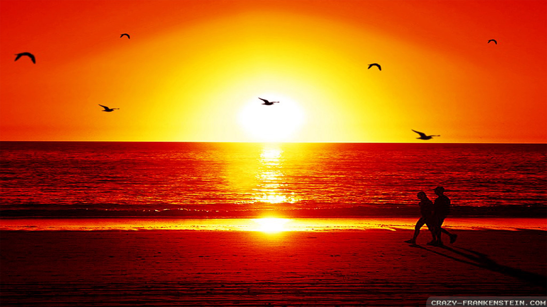 Detail Background Sunset Hd Nomer 16