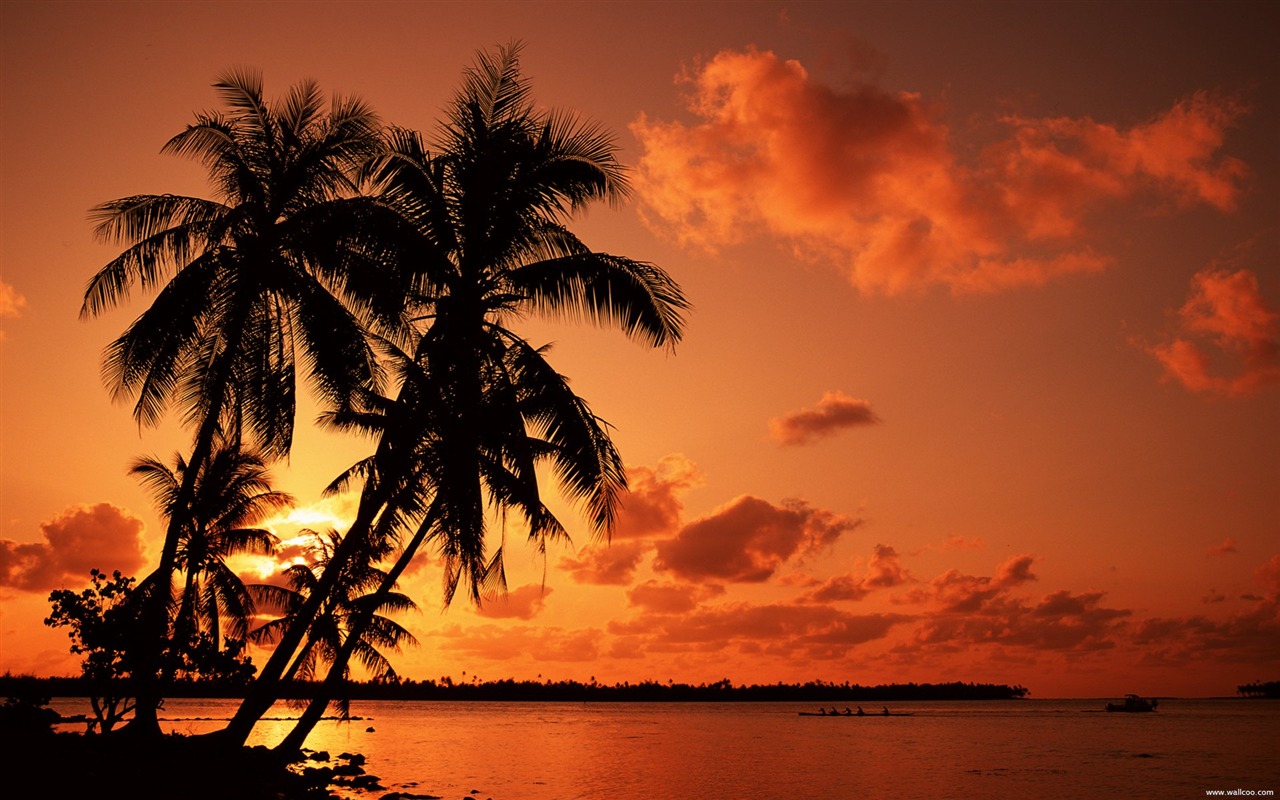 Detail Background Sunset Hd Nomer 29