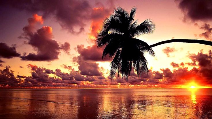 Detail Background Sunset Hd Nomer 33