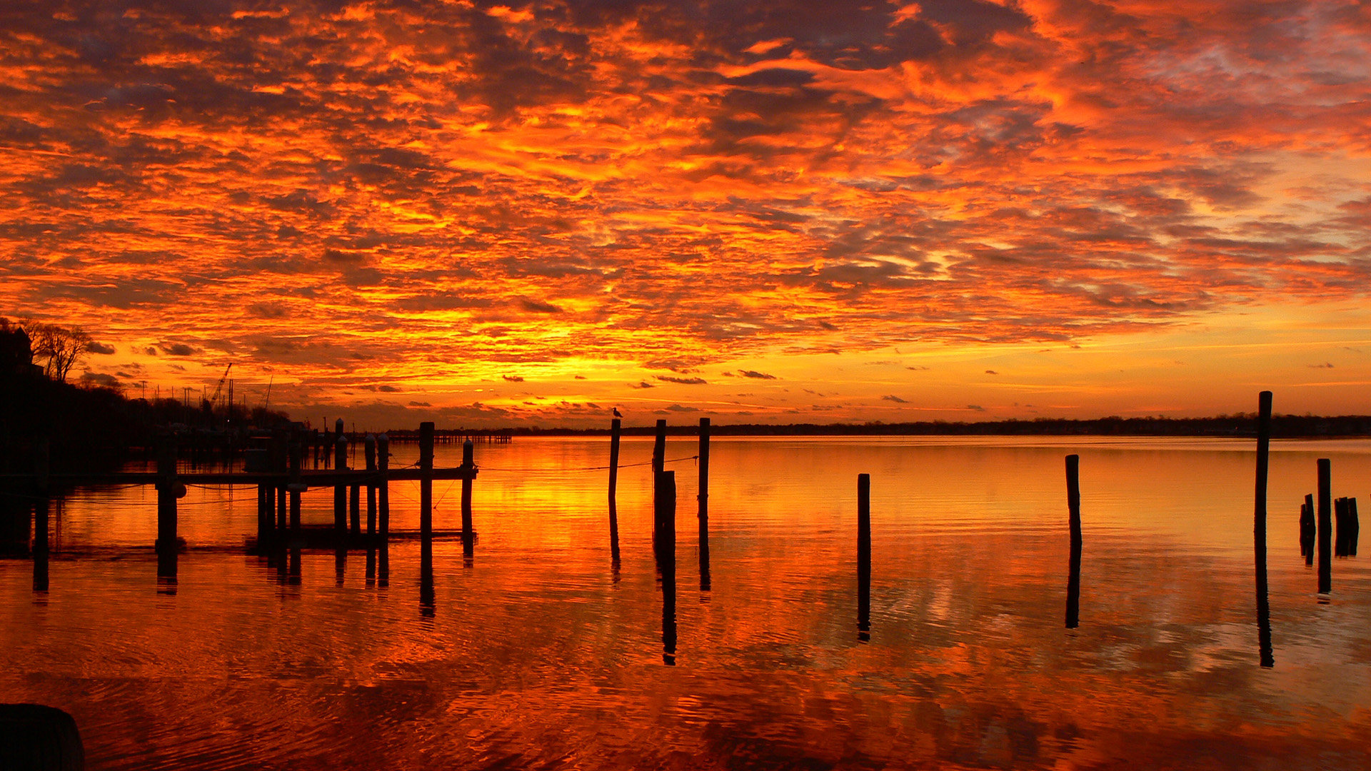 Detail Background Sunset Hd Nomer 37