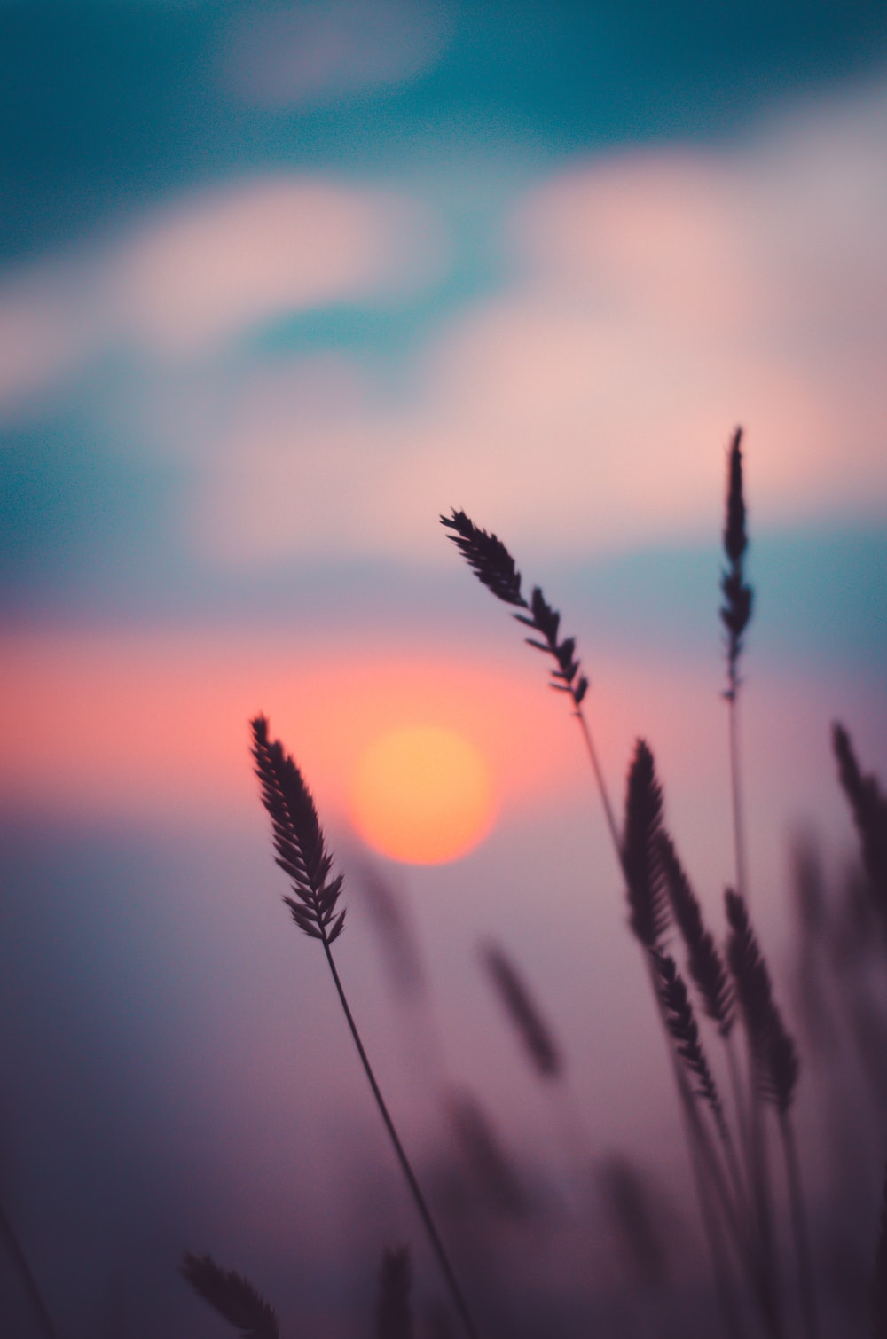 Detail Background Sunset Hd Nomer 47