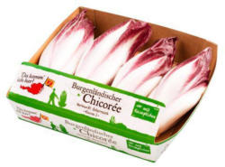 Detail Chicoree Rot Nomer 10