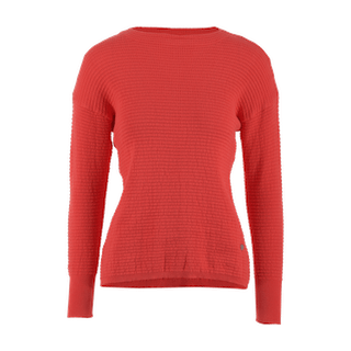 Detail Chicoree Rot Nomer 20
