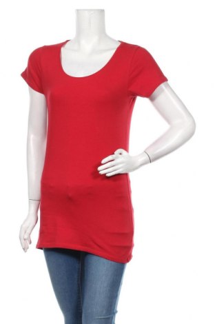 Detail Chicoree Rot Nomer 22