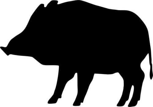 Detail Clipart Wildschwein Nomer 27