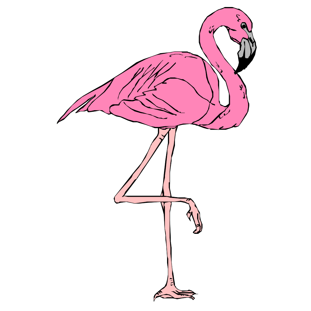 Detail Flamingo Zeichnen Bleistift Nomer 11