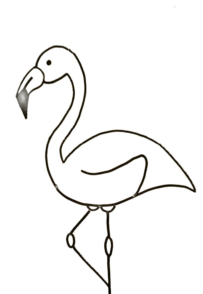 Detail Flamingo Zeichnen Bleistift Nomer 17