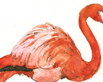 Detail Flamingo Zeichnen Bleistift Nomer 19