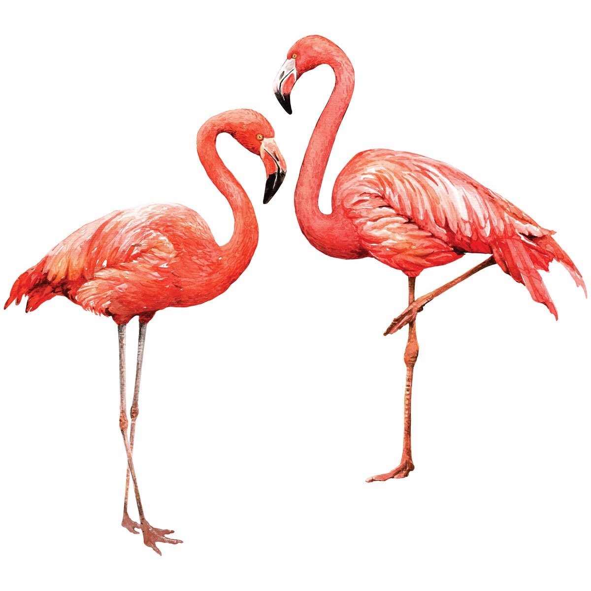 Detail Flamingo Zeichnen Bleistift Nomer 6